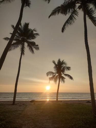 two palm trees on the beach at sunset at Katadi beach coral cottage in Thanniyam