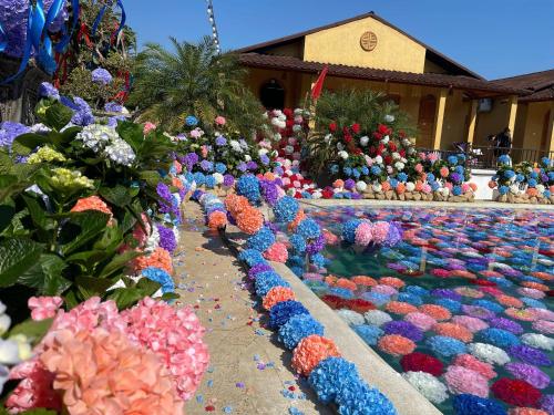 Φωτογραφία από το άλμπουμ του Sky Bay Lodge σε Ha Giang