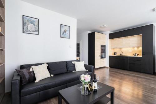 Spacious Studio Zabłocie with Balcony Krakow