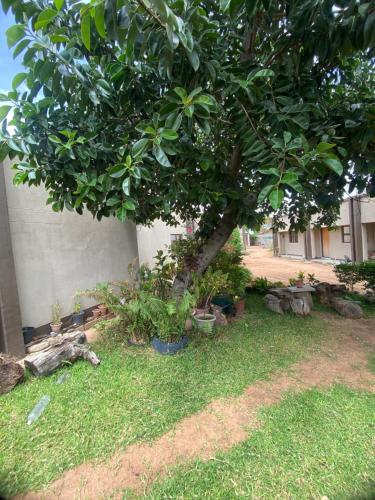 Zahrada ubytování Nalich Guest house