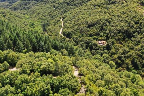 Paysage naturel près de le chalet