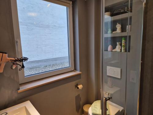 une salle de bain avec une fenêtre, un lavabo et des toilettes dans l'établissement Stadtnah an der Förde 5703, à Flensbourg