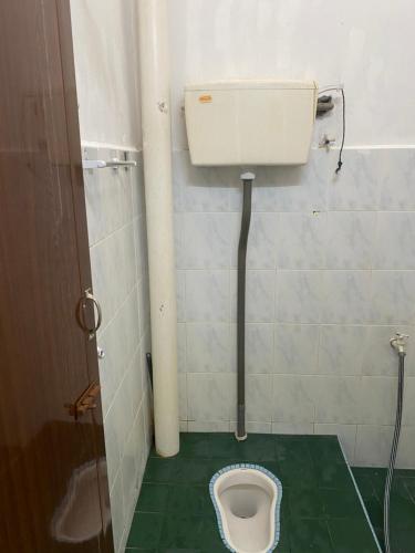 een badkamer met een toilet en een groene vloer bij Pinggiran Bayu Homestay in Kuantan