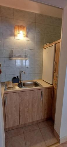 a small kitchen with a sink and a refrigerator at Pokoje gościnne Małgorzata i Piotr Bobek in Zakopane