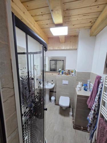 a bathroom with a shower and a toilet and a sink at Cabana Montis River in Băişoara