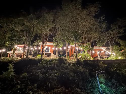 Jardin de l'établissement Mangrove bungalow & restaurant