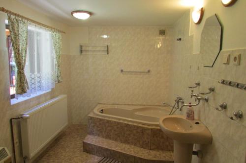 a bathroom with a bath tub and a sink and a bath tub at Chalupa u Jizery in Rokytnice nad Jizerou