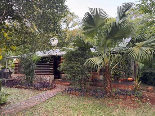 a house with palm trees in the yard at Casa de campo el lapacho in Colonia Mbopicuá