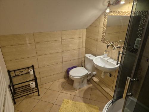 une petite salle de bain avec toilettes et lavabo dans l'établissement Orzechowa Zagroda, à Nowa Słupia