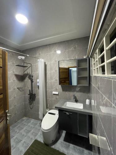 a bathroom with a toilet and a sink and a mirror at Villa Fafa in Ho
