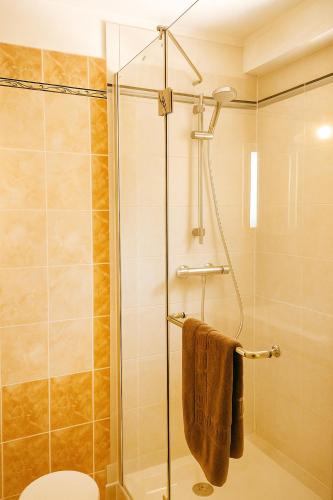 a bathroom with a shower with a glass door at Gîte Chez Julie - Clima - Parking in Sarlat-la-Canéda