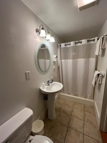 a bathroom with a sink and a toilet and a shower at Gulf Stream House - Hammondsport Getaway Apartment Unit 11 in Hammondsport