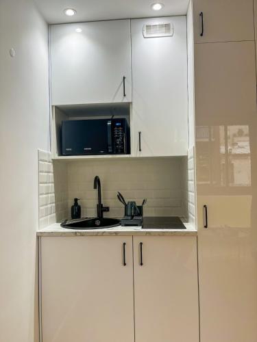 Bright Apartment in Paris Convention and Paris Expo