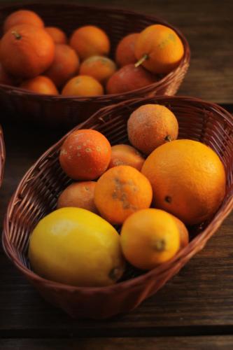 two baskets filled with fruit on a wooden table at Suíte Oriente Vale do Capão Refúgio acolhedor com vista para montanha & pet friendly in Caeté-Açu