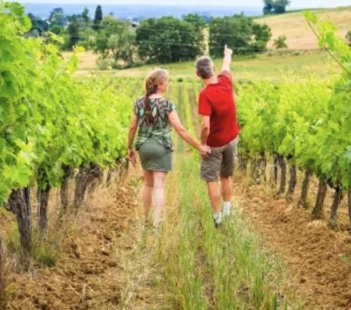 Fotografie z fotogalerie ubytování Chambre climatisée et salle de bain privatives, parking v destinaci Lisle-sur-Tarn