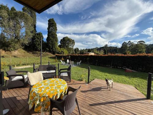 un perro de pie en una terraza con mesa y sillas en Mini House Reserva Natural, en Guarne