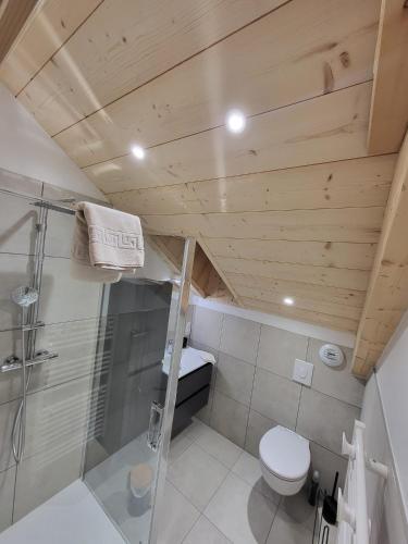 a small bathroom with a toilet and a shower at Le Chalet de l'Ancerf in Faucompierre