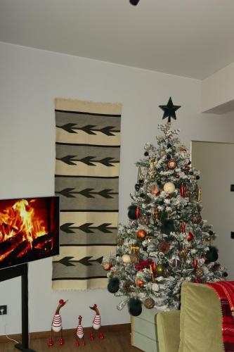 a christmas tree in a living room with a fireplace at Debri family in Krivopolʼye