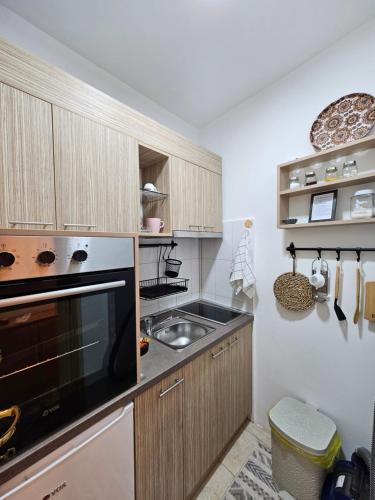 una cucina con lavello e fornello di Apartmani Dragulji Krusevac a Kruševac