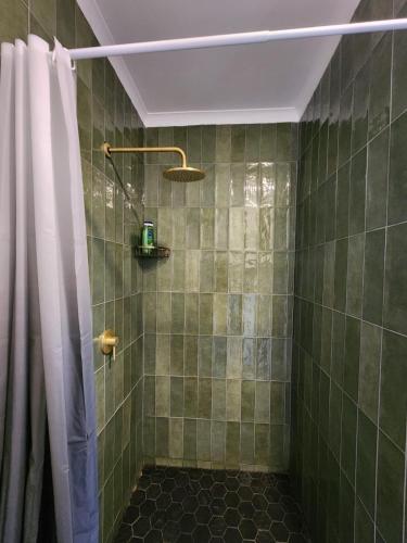 a bathroom with a shower with a shower curtain at Walnut Studio in Clarens