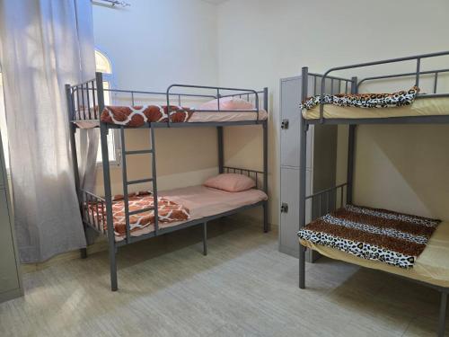 Voodi või voodid majutusasutuse Mozna Hostel toas