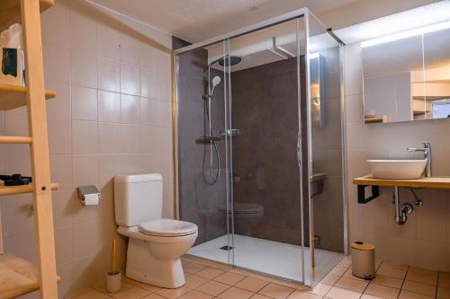 a bathroom with a shower with a toilet and a sink at Le Cerisier in Erde