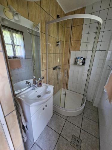 BajánsenyeBirsalmafa Vendégház的浴室配有淋浴和洗手池
