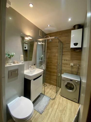 a bathroom with a toilet and a sink and a shower at Apartament przy Norweskim in Jelenia Góra