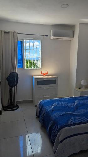 a bedroom with a bed and a desk and a window at Mitaly Apartamentos 111 in Santo Domingo