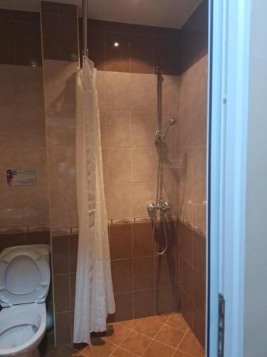 a bathroom with a shower with a toilet at Villa Irina in Kŭrdzhali