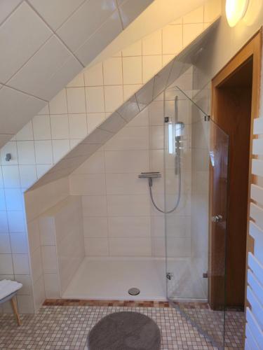 StainachにあるFerienwohnung Walcherのガラスドア付きのシャワー付きのバスルーム