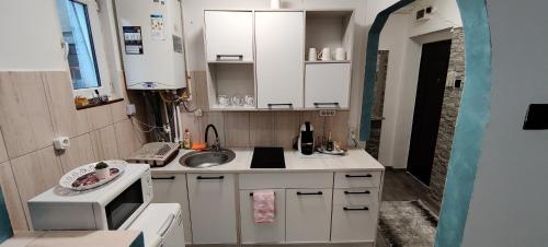 een kleine keuken met een spoelbak en een magnetron bij ANTONIA Central Apartament in Tîrnăveni