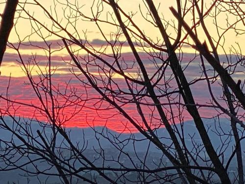 a sunset seen through the branches of a tree at La Fabbryca in Porto SantʼElpidio