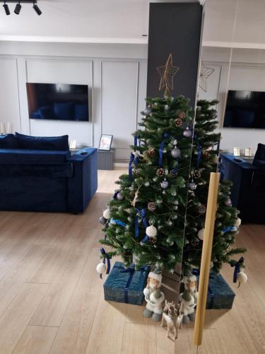 Μια τηλεόραση ή/και κέντρο ψυχαγωγίας στο Cuza Residence