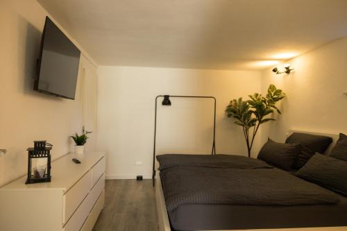 une chambre avec un lit et une télévision au mur dans l'établissement Moderne und gemütliche Ferienwohnung in Holzbach, à Holzbach
