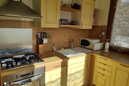 una cucina con armadi gialli, piano cottura e lavandino di Chalet des ORCHIDÉES en Chartreuse a Entremont-le-Vieux