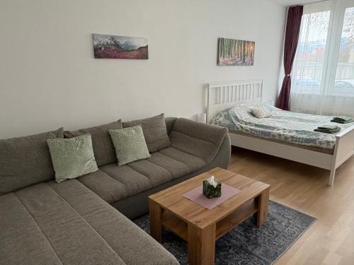 Apartment Monchi