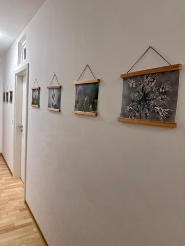 a hallway with four pictures on a wall at Nest76 in Karlsruhe