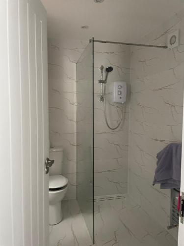 a bathroom with a glass shower with a toilet at The riverside place in Newry