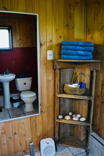 a bathroom with a toilet and a sink at Casa de campo in Salto del Laja