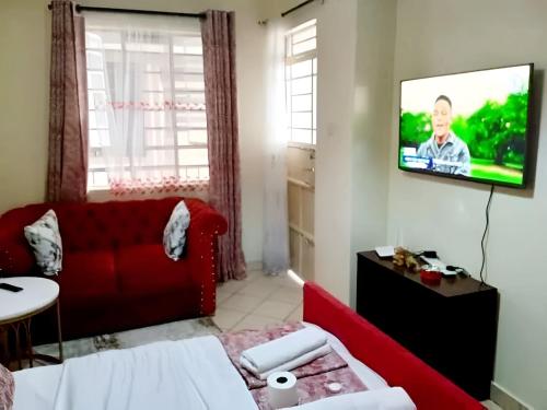 Μια τηλεόραση ή/και κέντρο ψυχαγωγίας στο The Joseph Sport Property