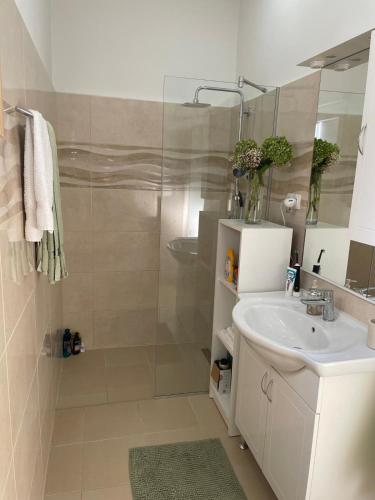 a bathroom with a shower and a sink and a mirror at Lavanda in Poljana