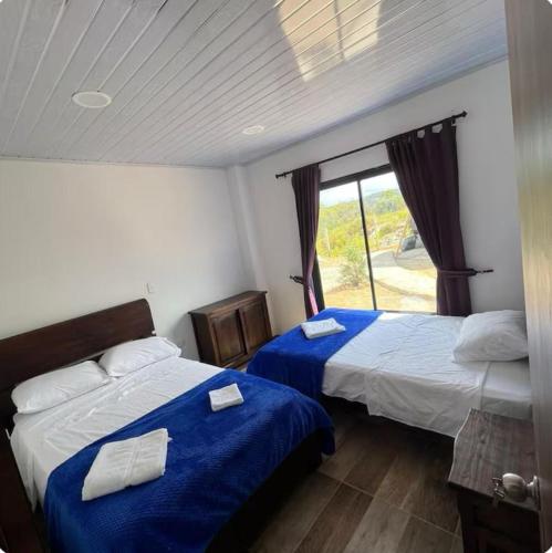 a bedroom with two beds with blue sheets and a window at Casa guardían del bosque in San Gil