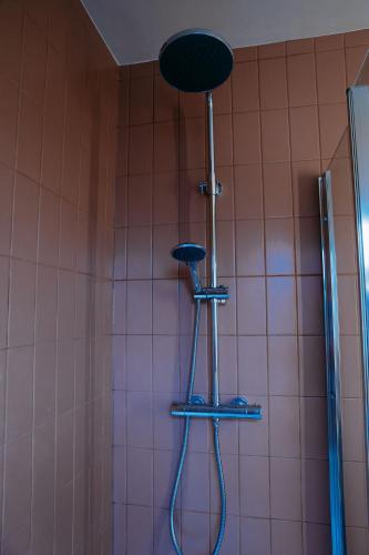 a shower in a pink tiled bathroom with a shower head at The Tardis, Cleethorpes in Cleethorpes