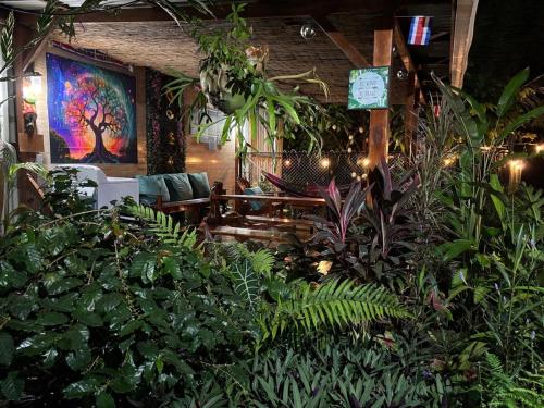 Zahrada ubytování Toucan River Paradise - River access