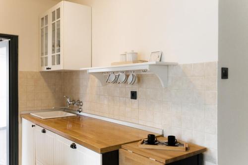 Spacious 1BR Designer Apartment in Sloboština