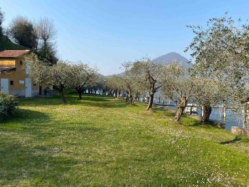Naturlandskabet i nærheden af lejligheden