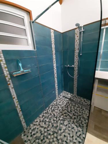 a bathroom with a shower with a blue wall at Au colibri vert in Trois-Rivières