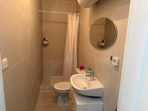 Un baño con lavabo, inodoro y espejo. en Le cocon douillet, en Oyonnax