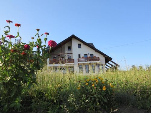 マナスティレア・フモルルイにあるPensiunea Doina Bucovineiの花畑中の家